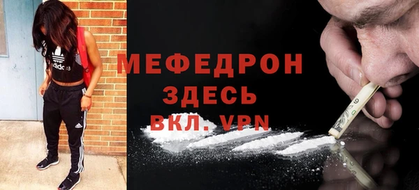сатива Няндома