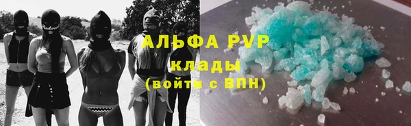 сатива Няндома