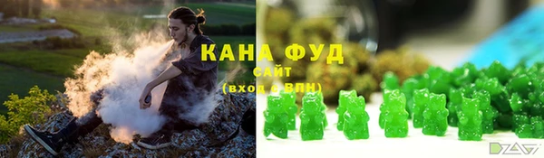 сатива Няндома