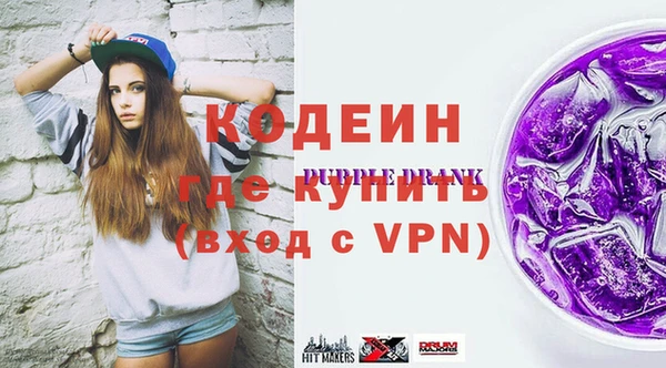 сатива Няндома