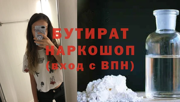 сатива Няндома
