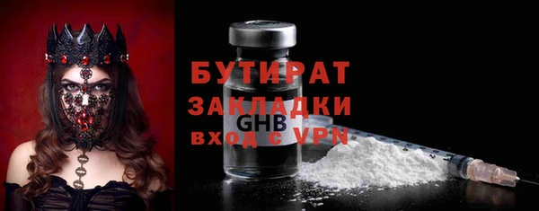 сатива Няндома