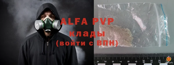 сатива Няндома