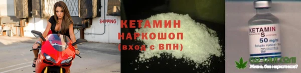 сатива Няндома