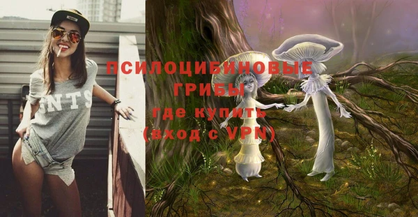 сатива Няндома