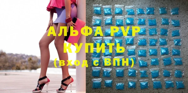 сатива Няндома