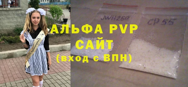 сатива Няндома