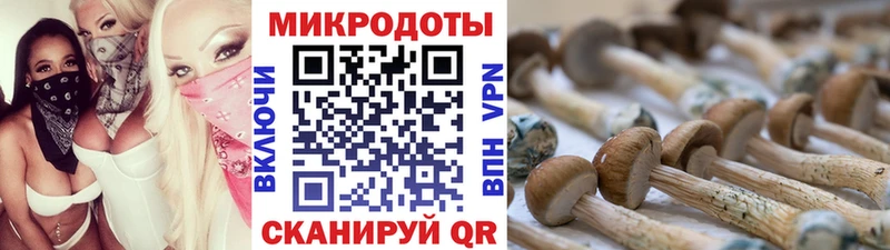 Галлюциногенные грибы мухоморы Кореновск